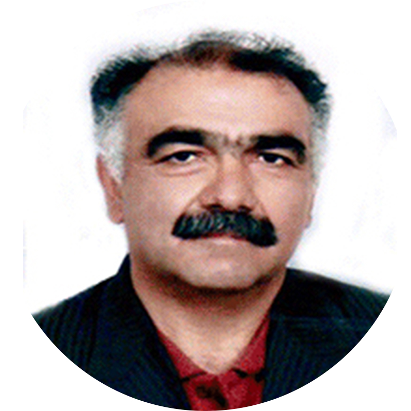 سید موسی‌الرضا الداغی