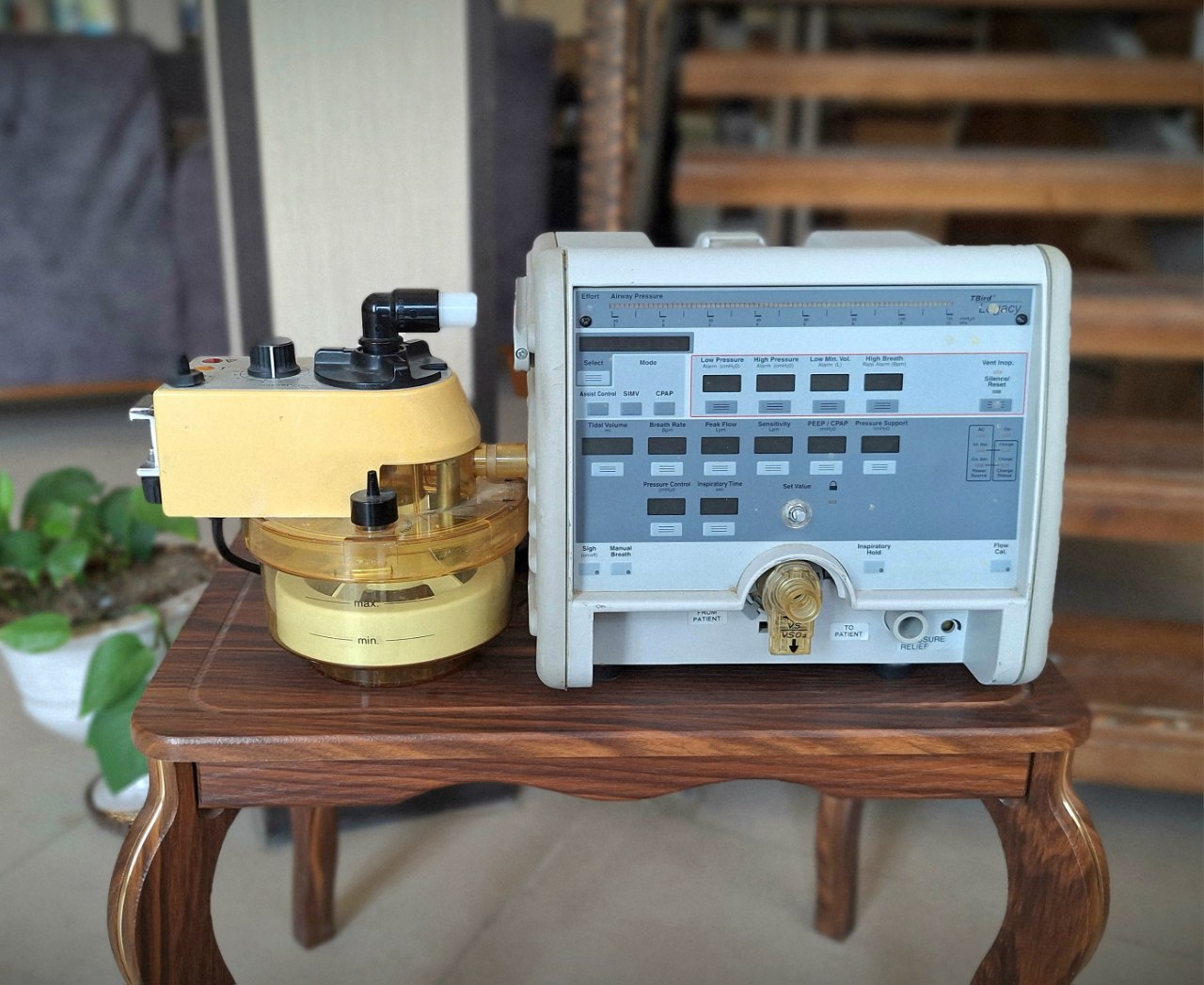 photo_2025-08-12_15-51-26 photo_2025-08-12_15-51-26